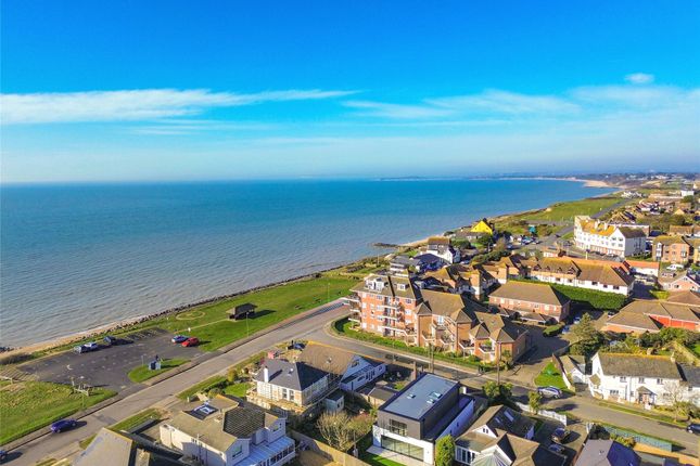 Elevated Rear Aspect