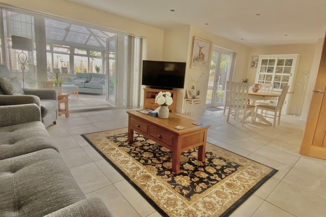 6, Magnolia Close, March photo 3