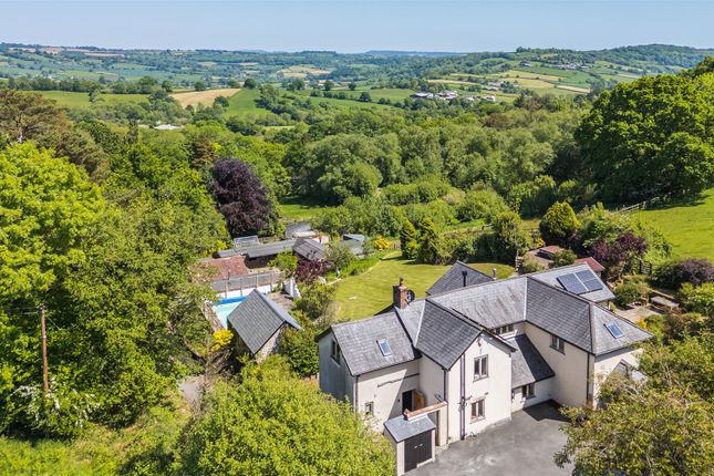 Cartmoor Farm, Stockland, Honiton photo 2