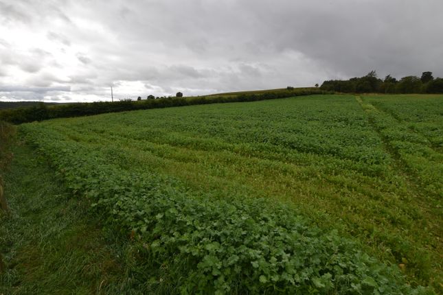 Site at Mill Of Towie, Keith photo 5