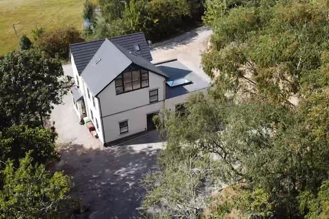 Outside - Birdseye View