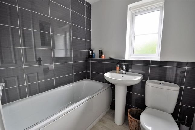 Semi-detached house to rent in Eden Grove, Holmes Chapel, Crewe