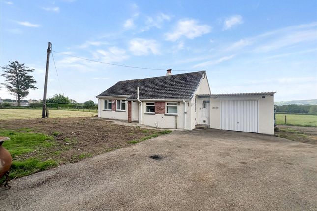 Thumbnail Bungalow for sale in Callington, Cornwall