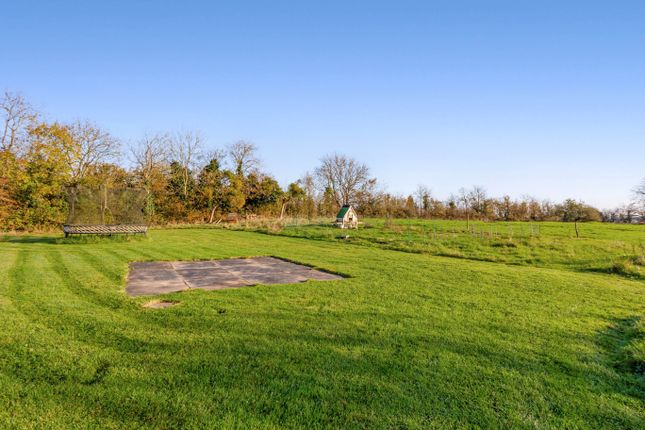 Field