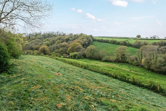 The Swoop, Earlscombe Barns, Bittaford photo 2