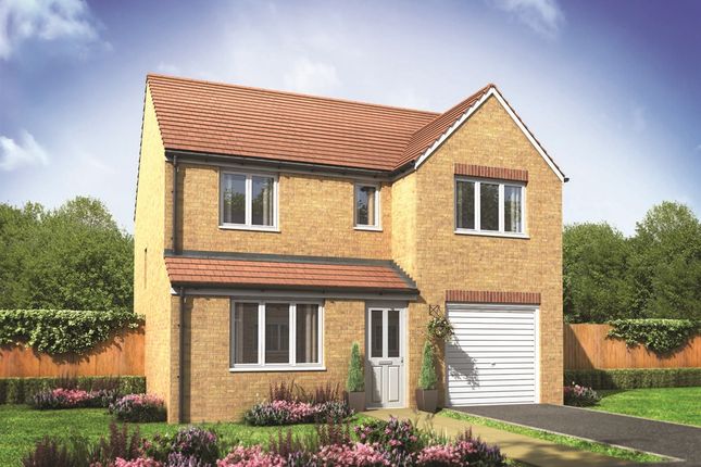 Detached house for sale in "The Longthorpe" at The Street, Beck Row, Bury St. Edmunds
