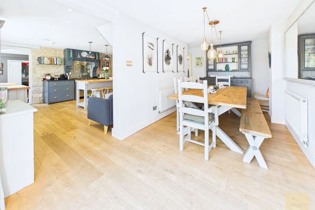 Kitchen / Dining