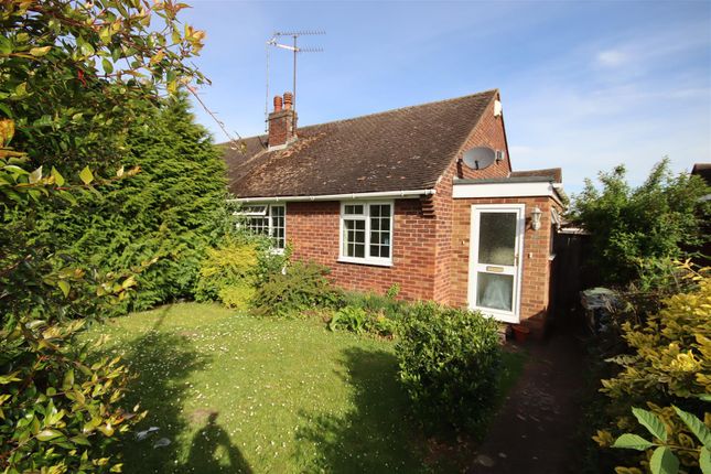 Semi-detached bungalow to rent in Macaulay Road, Luton