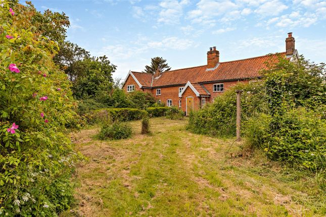 Thumbnail Detached house for sale in Suton Street, Suton, Wymondham, Norfolk