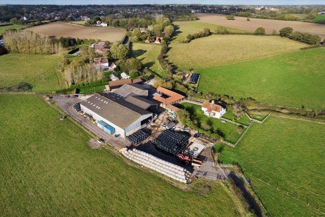 Farm for sale in West Bergholt, Colchester, Essex CO6.