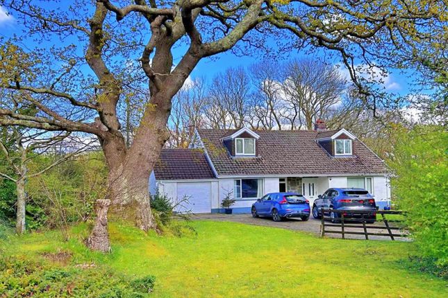 Thumbnail Detached bungalow for sale in Rhos, Haverfordwest