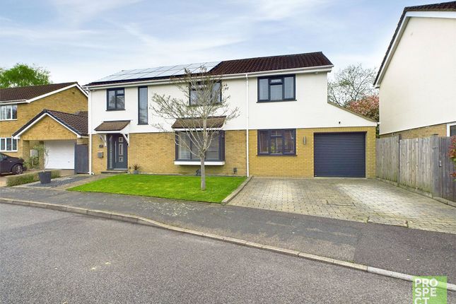 Thumbnail Detached house for sale in Raglan Close, Frimley, Camberley, Surrey