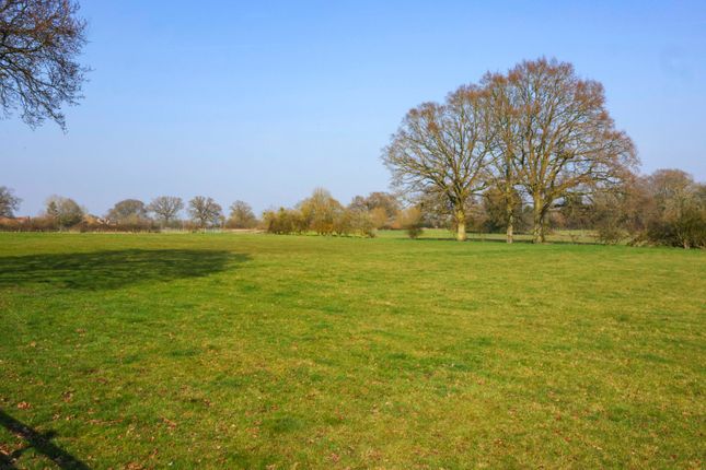 Land / Paddock