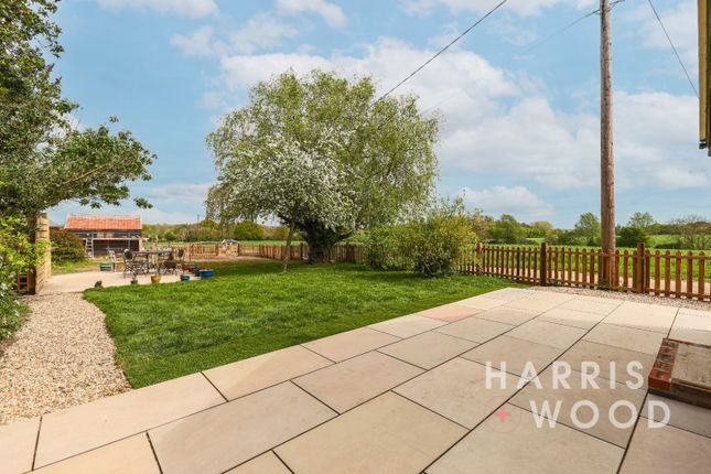 School Cottage, Faulkbourne, Essex photo 4