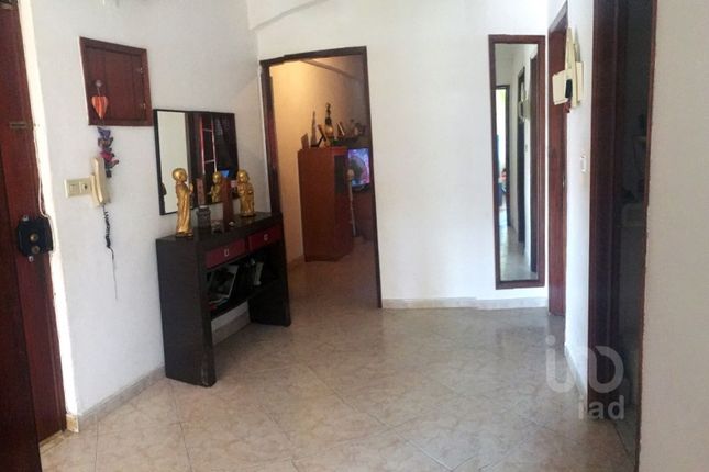 Apartments For In Cuba Beja Alentejo Portugal Thumbnail Apartment For In Ferreira Do Alentejo E Canhestros Beja