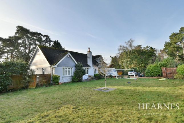 Thumbnail Detached bungalow for sale in Lone Pine Drive, West Parley, Ferndown
