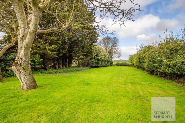 Bobtail End, Catfield Road, Great Yarmouth photo 3