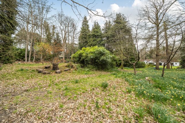 Mullion,, Seven Hills Road, Surrey photo 4