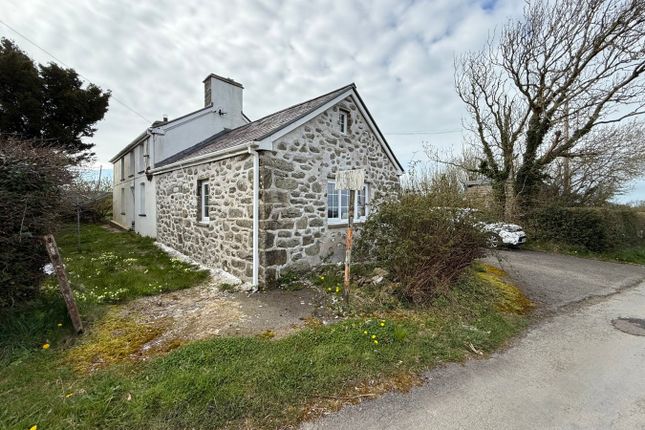 Llwynsilio, Llwyndafydd, Near New Quay photo 3