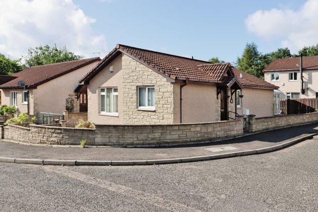 Thumbnail Detached bungalow for sale in Clune Terrace, Lochgelly
