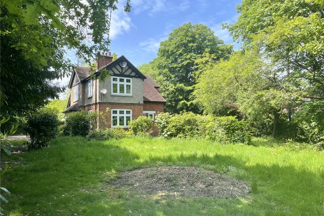 Thumbnail Detached house for sale in Little Baddow Road, Danbury, Chelmsford, Essex