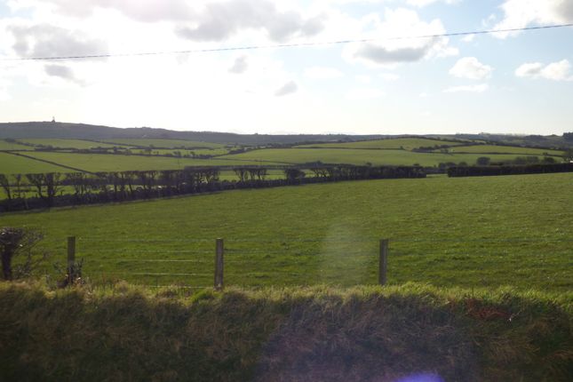 Open Rural Views