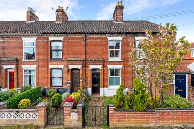 Thumbnail Terraced house for sale in Leopold Road, Norwich