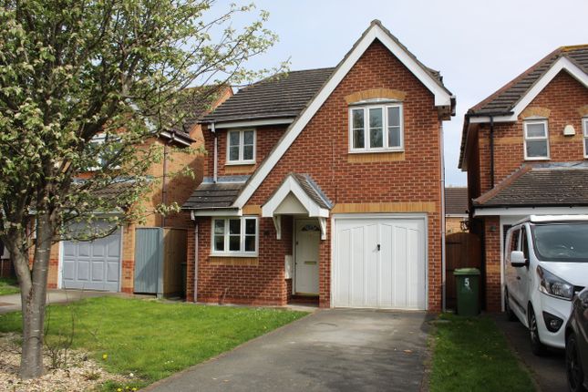 Thumbnail Detached house to rent in Snowdrop Close, Healing