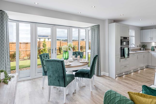 Image Of Kitchen/Dining/Family In 4 Bedroom Glenbervie House Type At Cammo Meadows