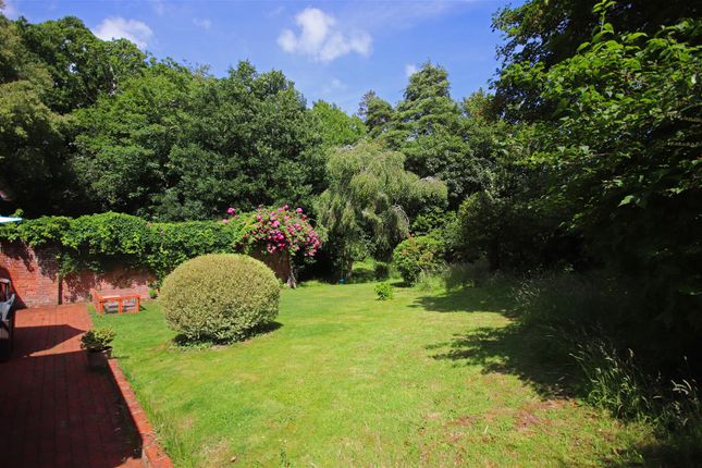Garden 2.Jpg