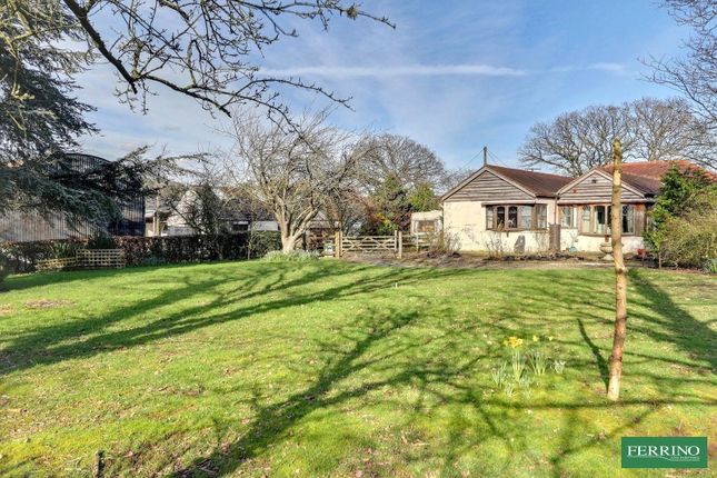 Purlieu End Farm, Large Barns & Storage Business, Lydney photo 2
