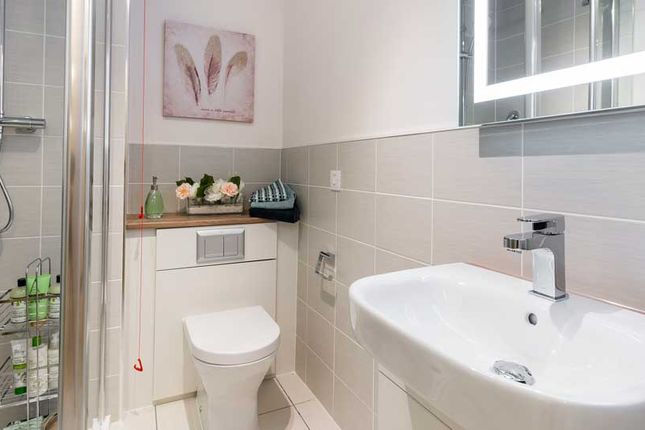 Typical Bathroom