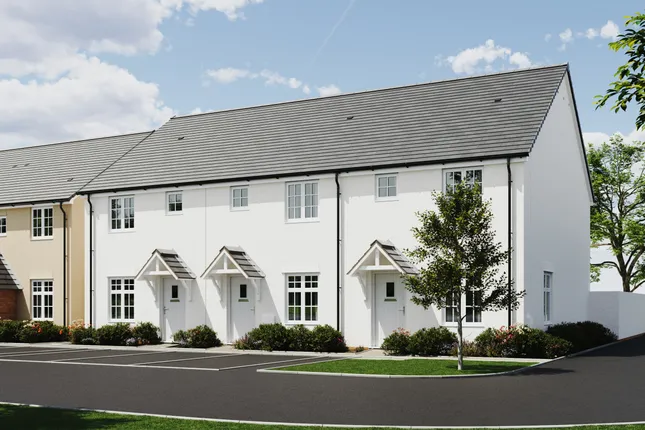 LiveWest - Ruby Meadows