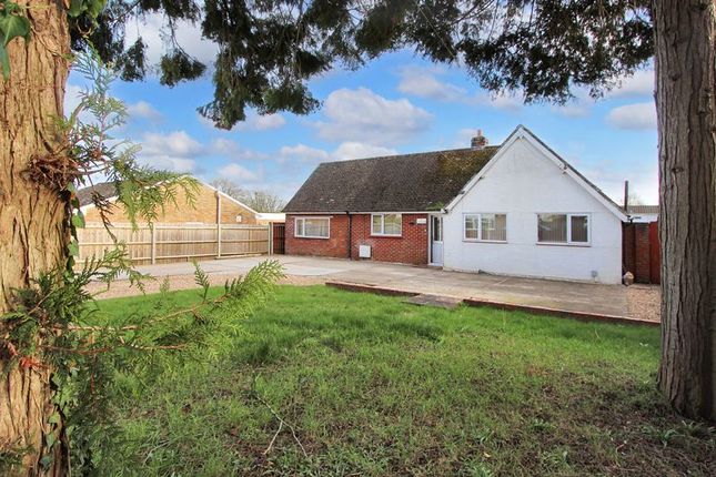 Detached bungalow for sale in Bury Road, Basingstoke