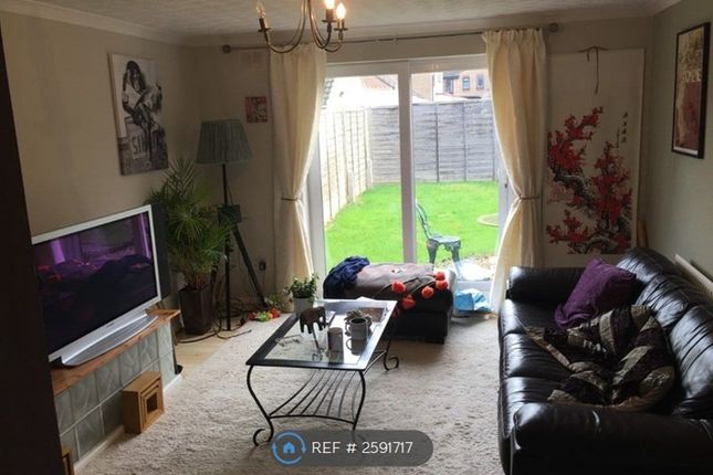 Lounge Back View