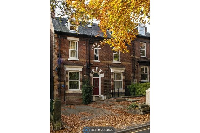 Room to rent in Broomgrove Road, Sheffield