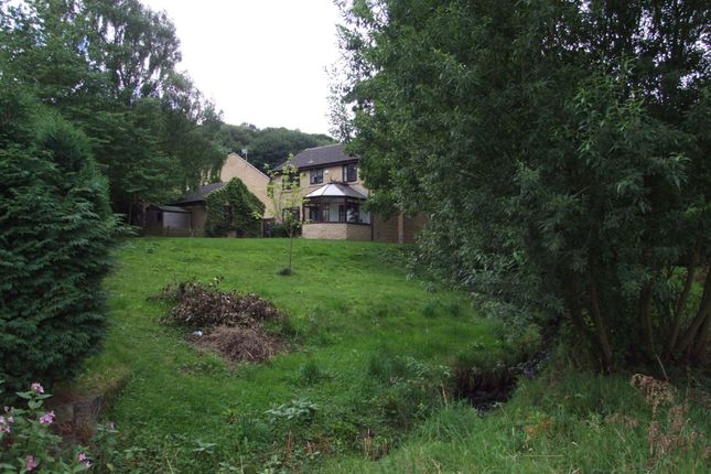 Photograph 9