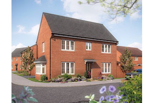 Thumbnail Detached house for sale in "Spruce II" at Hitchin Road, Clifton, Shefford