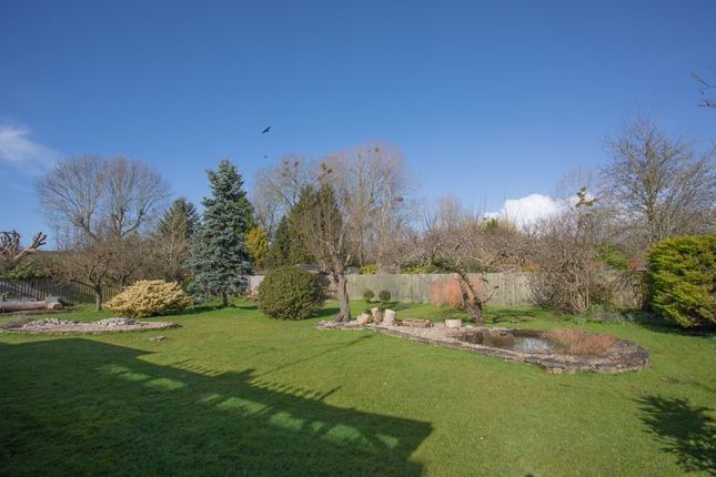 Detached bungalow for sale in Wagg Drove, Huish Episcopi, Langport