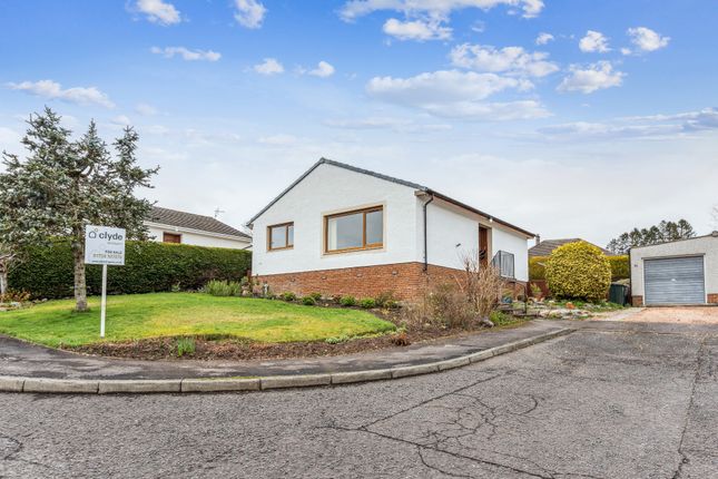 Thumbnail Detached bungalow for sale in College Drive, Methven, Perthshire