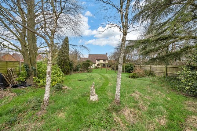 Thumbnail Detached house for sale in Long Green, Wortham, Diss