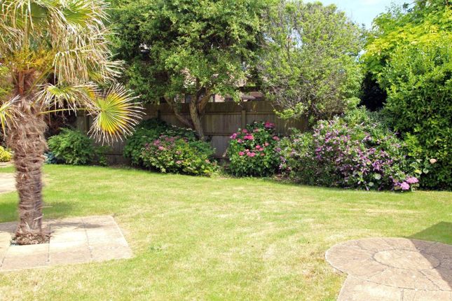 6, Brook House, Barton On Sea photo 2