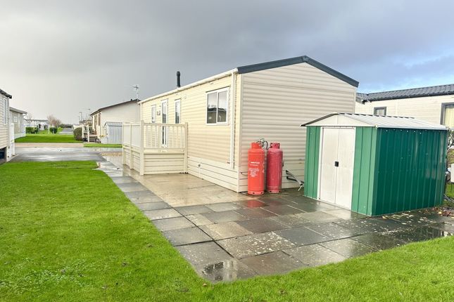 Brooklyn - Willerby-Peppy-49995