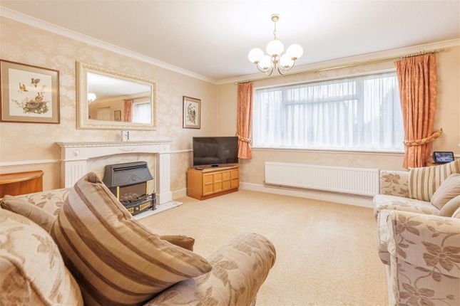 19, Egg Hall, Epping photo 2