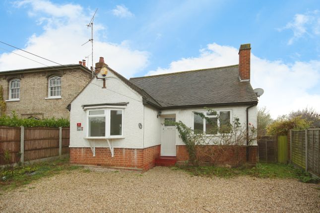 Bungalow to rent in Broomfield Road, Broomfield, Chelmsford