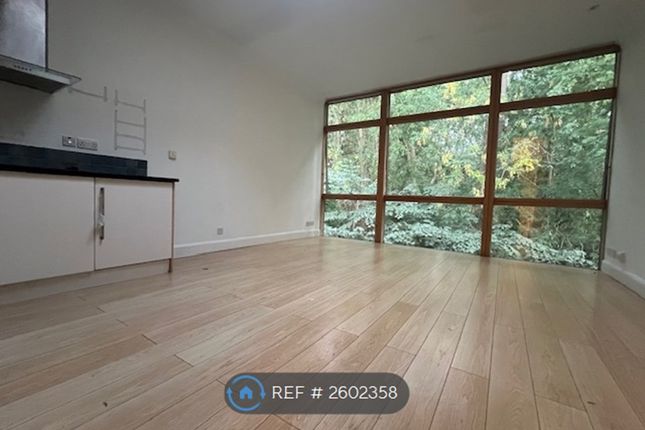 Pre-Refurbishment Kitchen / Living