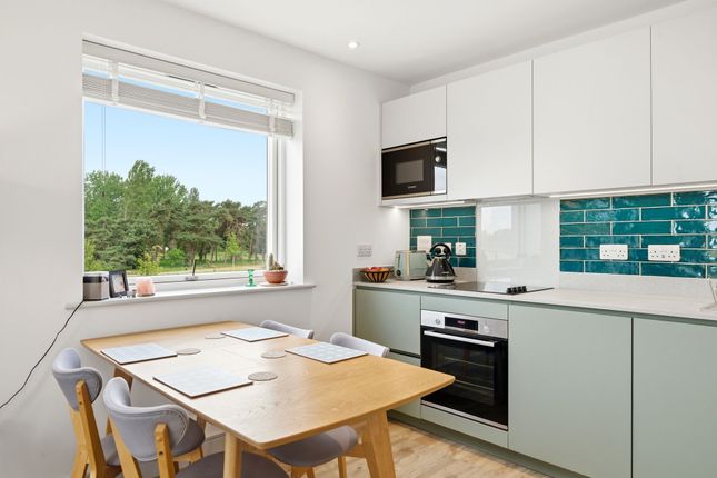 8 Gillyflower Lane, Cambridge photo 3