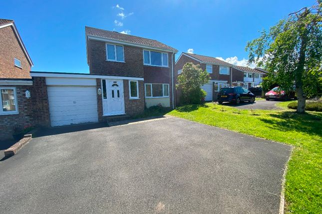 Detached house to rent in Puriton Park, Puriton, Bridgwater