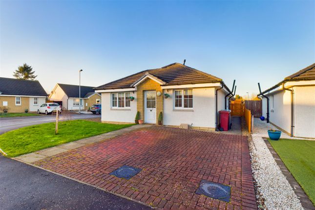 Thumbnail Bungalow for sale in Priory Crescent, Blackwood, Lanark