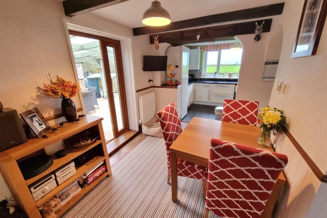 The Jays, Launceston photo 2